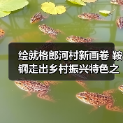 绘就格郎河村新画卷 鞍钢走出乡村振兴特色之路 绘就格郎河村新画卷 鞍钢走出乡村振兴特色之路