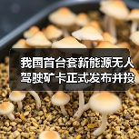 我国首台套新能源无人驾驶矿卡正式发布并投入使用 我国首台套新能源无人驾驶矿卡正式发布并投入使用