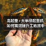 高起重+大半径起重机如何高效提升工地效率？
