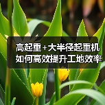 高起重+大半径起重机如何高效提升工地效率？