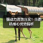 强动力高效压实！压路机核心优势解析