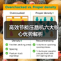 高效节能压路机六大核心优势解析 高效节能压路机六大核心优势解析