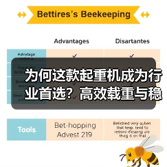为何这款起重机成为行业首选？高效载重与稳定性能解析