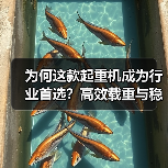 为何这款起重机成为行业首选？高效载重与稳定性能解析