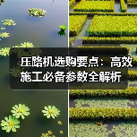 压路机选购要点：高效施工必备参数全解析