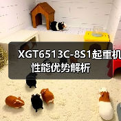 XGT6513C-8S1起重机性能优势解析