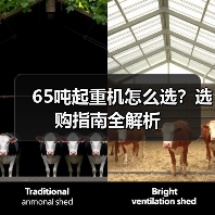 65吨起重机怎么选?选购指南全解析 65吨起重机怎么选?选购指南全解析