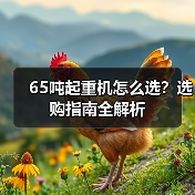 65吨起重机怎么选?选购指南全解析 65吨起重机怎么选?选购指南全解析
