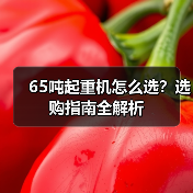 65吨起重机怎么选?选购指南全解析 65吨起重机怎么选?选购指南全解析