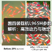 国四装载机L965H参数解析:高效动力与稳定性能 国四装载机L965H参数解析:高效动力与稳定性能
