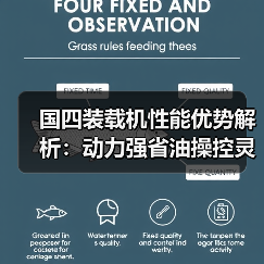 国四装载机性能优势解析：动力强省油操控灵活