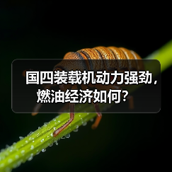 国四装载机动力强劲,燃油经济如何? 国四装载机动力强劲,燃油经济如何?