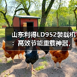 山东利得LD952装载机:高效节能重载神器,耐用省心性价比高 山东利得LD952装载机:高效节能重载神器,耐用省心性价比高