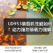LD953装载机性能如何?动力强劲装载力强解析 LD953装载机性能如何?动力强劲装载力强解析