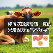 你每次投资亏钱，真的只是因为运气不好吗？——从老张的惨痛教训看透风险管理的本质