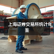 上海证券交易所统计年鉴 上海证券交易所统计年鉴