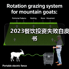2023餐饮投资失败白皮书