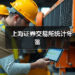 上海证券交易所统计年鉴 上海证券交易所统计年鉴