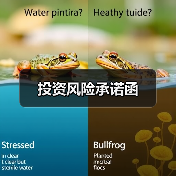 投资风险承诺函