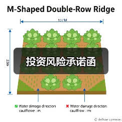 投资风险承诺函