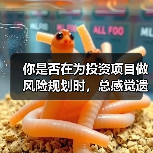 你是否在为投资项目做风险规划时，总感觉遗漏了什么？