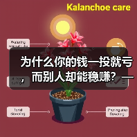 为什么你的钱一投就亏，而别人却能稳赚？——破解投资中的“道德风险”陷阱