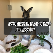 多功能装载机如何提升工程效率？