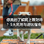 你真的了解网上理财吗?5大风险与避坑指南 你真的了解网上理财吗?5大风险与避坑指南