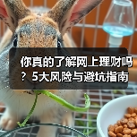 你真的了解网上理财吗?5大风险与避坑指南 你真的了解网上理财吗?5大风险与避坑指南