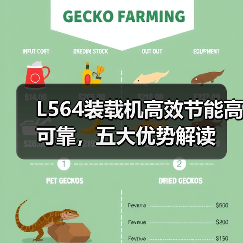 L564装载机高效节能高可靠,五大优势解读 L564装载机高效节能高可靠,五大优势解读