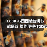 L68K-G国四装载机节能高效 操作便捷作业能力强