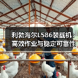 利勃海尔L586装载机：高效作业与稳定可靠性能解析