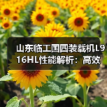 山东临工国四装载机L916HL性能解析:高效作业与稳定耐用如何兼得? 山东临工国四装载机L916HL性能解析:高效作业与稳定耐用如何兼得?