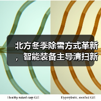 北方冬季除雪方式革新,智能装备主导清扫新格局 北方冬季除雪方式革新,智能装备主导清扫新格局