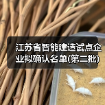 江苏省智能建造试点企业拟确认名单(第二批) 江苏省智能建造试点企业拟确认名单(第二批)