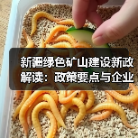 新疆绿色矿山建设新政解读:政策要点与企业应对策略 新疆绿色矿山建设新政解读:政策要点与企业应对策略