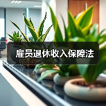 雇员退休收入保障法