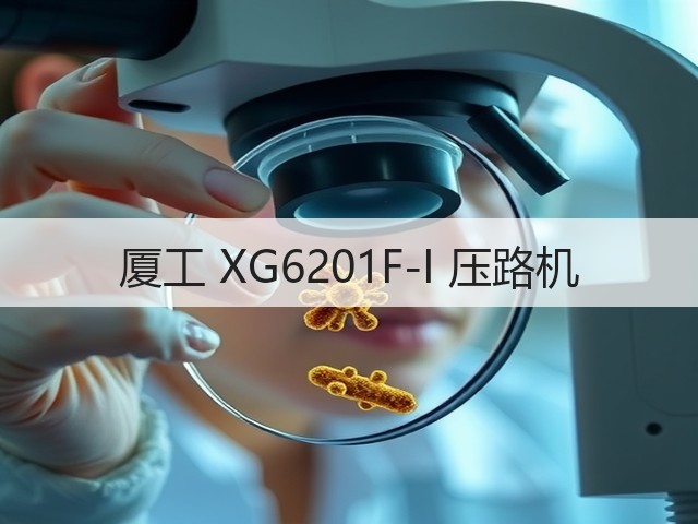 厦工 XG6201F-I 压路机 厦工 XG6201F-I 压路机