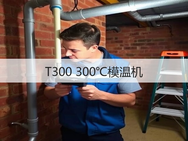 T300 300℃模温机 T300 300℃模温机