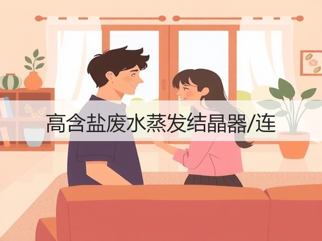 高含盐废水蒸发结晶器/连 高含盐废水蒸发结晶器/连